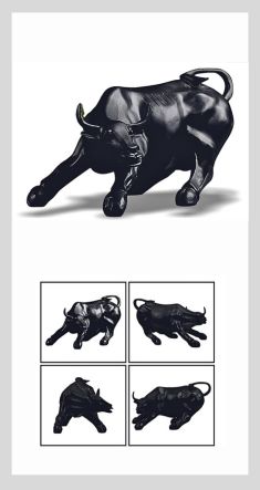 BULL-BLACK - ASHOKA TROPHY